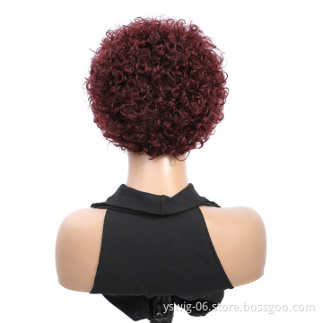 Pixie Cut Human Hair Wigs For Black Women Jerry Curl Short Lace Wig Pixie Cut Short Hair Wig